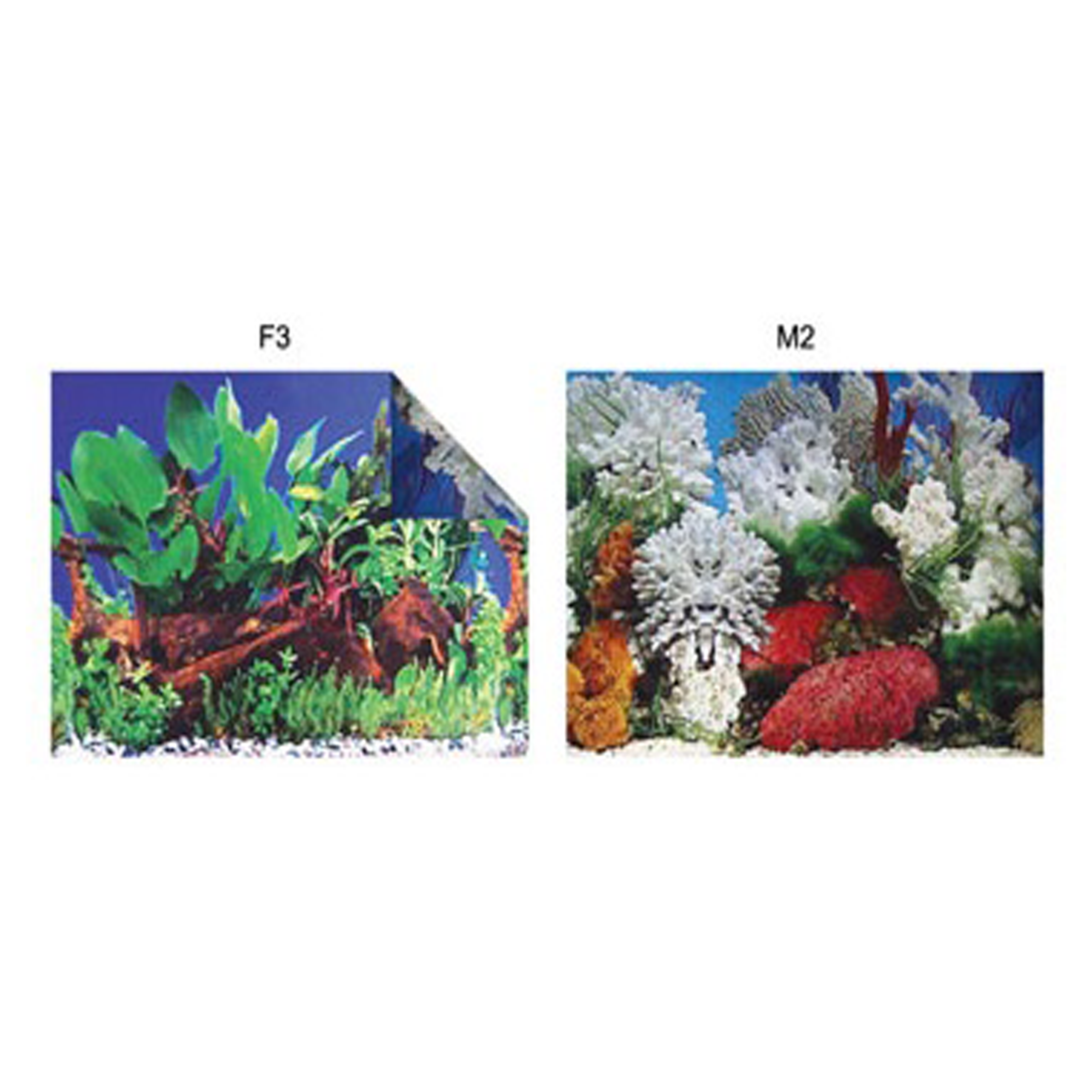 35 CM POSTER (1 METRE ) ARKA FON