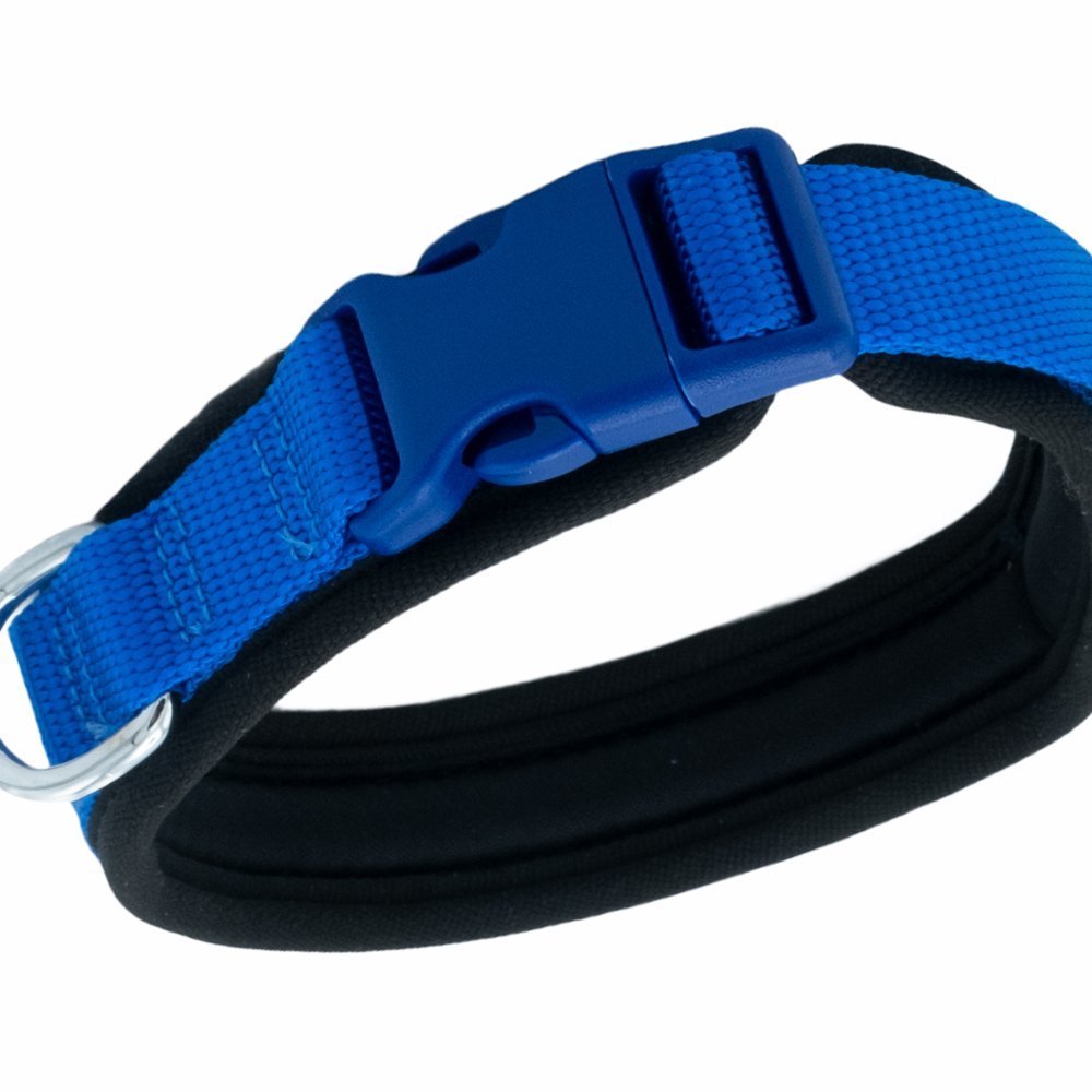 adbt2510mroyalblue-3.jpg