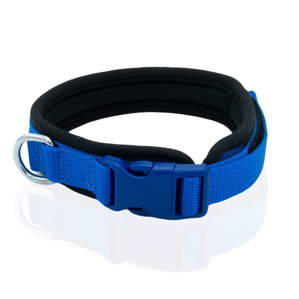 adbt2510mroyalblue.jpg