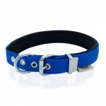 dsbt2010mroyalblue-3.jpg