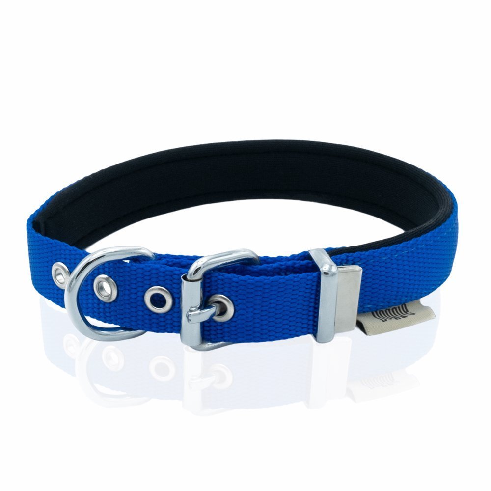 dsbt2062mroyalblue-3-1.jpg