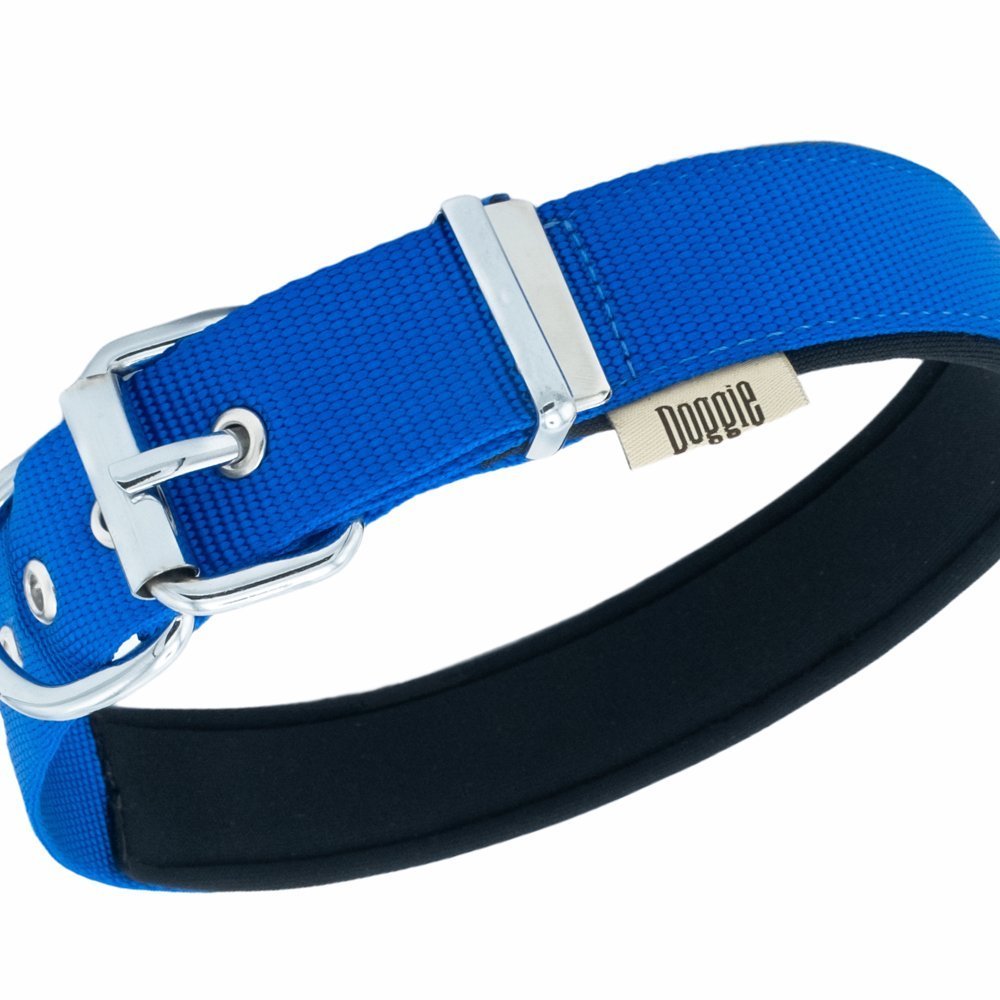 dsbt3010mroyalblue-2.jpg