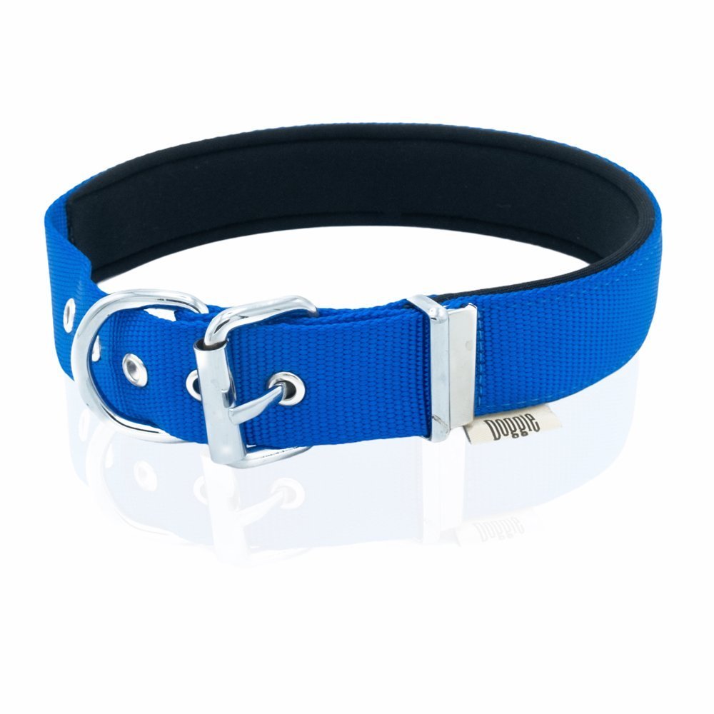 dsbt3010mroyalblue-3.jpg