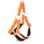 dsgtxsorange.jpg