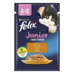 felix-yavru-tavuk-etli-kedi-yas-mama-8-66161.jpg