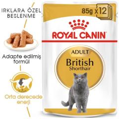 royal-canin-british-shorthair-yas-kedi-mamasi-85-gr-9119-jpg_min.jpeg