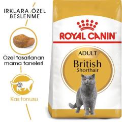 royal-canin-british-shorthair-yetiskin-kedi-mamasi-2-kg-9125-jpg_min.jpeg