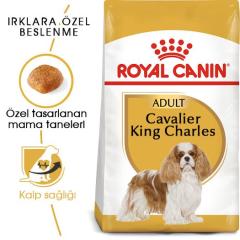 royal-canin-cavalier-king-charles-yetiskin-kopek-mamasi-1-5-kg-9107-jpg_min.jpeg