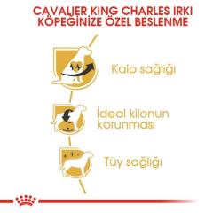 royal-canin-cavalier-king-charles-yetiskin-kopek-mamasi-1-5-kg-9109-jpg_min.jpeg