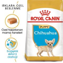 royal-canin-chihuahua-junior-yavru-kopek-mamasi-1-5-kg-9039-jpg_min.jpeg
