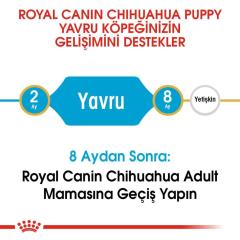 royal-canin-chihuahua-junior-yavru-kopek-mamasi-1-5-kg-9042-jpg_min.jpeg
