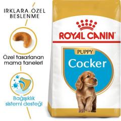 royal-canin-cocker-junior-yavru-kopek-mamasi-3-kg-9032-jpg_min.jpeg