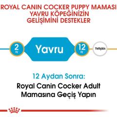 royal-canin-cocker-junior-yavru-kopek-mamasi-3-kg-9036-jpg_min.jpeg