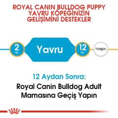 royal-canin-french-bulldog-yavru-kopek-mamasi-3-kg-8990-jpg_min.jpeg