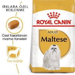 royal-canin-maltese-bichon-yetiskin-kopek-mamasi-1-5-kg-8859-jpg_min.jpeg