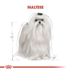 royal-canin-maltese-bichon-yetiskin-kopek-mamasi-1-5-kg-8861-jpg_min.jpeg