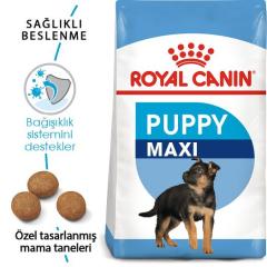 royal-canin-maxi-puppy-kopek-mamasi-15-kg-8110-jpg_min.jpeg