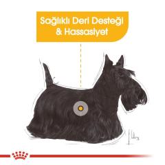 royal-canin-mini-dermacomfort-yetiskin-kopek-mamasi-3-kg-9081-jpg_min.jpeg