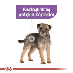 royal-canin-mini-sterilised-kisir-kopek-mamasi-3-kg-9064-jpg_min.jpeg