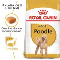 royal-canin-poodle-adult-kopek-mamasi-3-kg-8705-jpg_min.jpeg