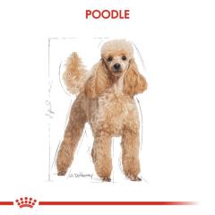 royal-canin-poodle-adult-kopek-mamasi-3-kg-8708-jpg_min-1.jpeg