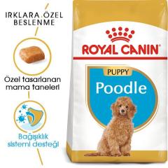 royal-canin-poodle-puppy-kopek-mamasi-3-kg-8712-jpg_min.jpeg