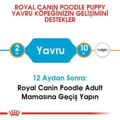 royal-canin-poodle-puppy-kopek-mamasi-3-kg-8716-jpg_min.jpeg