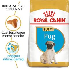 royal-canin-pug-junior-yavru-kopek-mamasi-1-5-kg-8692-jpg_min.jpeg