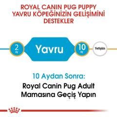 royal-canin-pug-junior-yavru-kopek-mamasi-1-5-kg-8696-jpg_min.jpeg