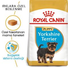 royal-canin-yorkshire-terrier-yavru-kopek-mamasi-1-5-kg-8567-jpg_min.jpeg