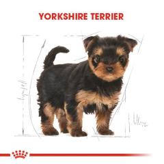 royal-canin-yorkshire-terrier-yavru-kopek-mamasi-1-5-kg-8573-jpg_min.jpeg