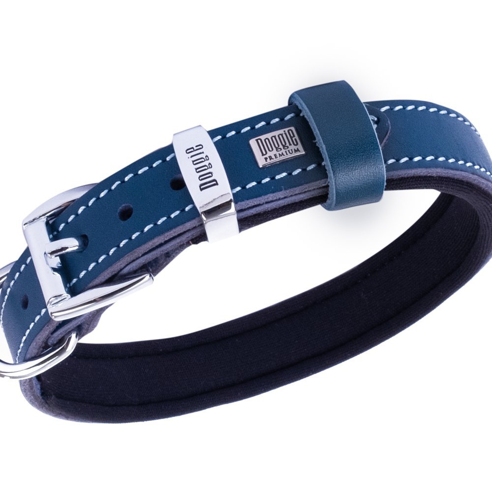 sbt2014mroyalblue-3.jpg