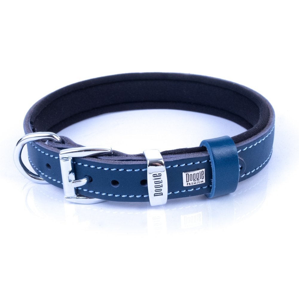 sbt2014mroyalblue-4.jpg