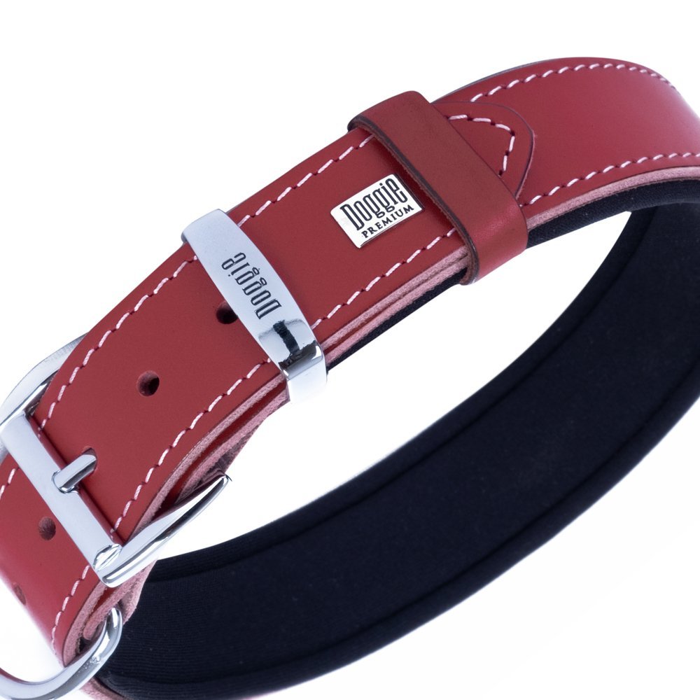 sbt4036mred-2-2.jpg