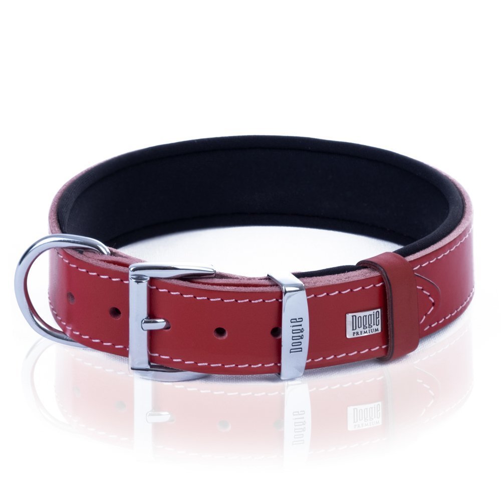 sbt4036mred-3-2.jpg