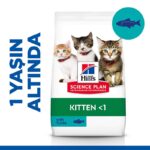0022920_hills-kitten-ton-balikli-yavru-kedi-mamasi-15kg.jpeg