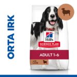 0023236_hills-adult-lamb-kuzu-etli-orta-irk-yetiskin-kopek-mamasi-14kg.jpeg