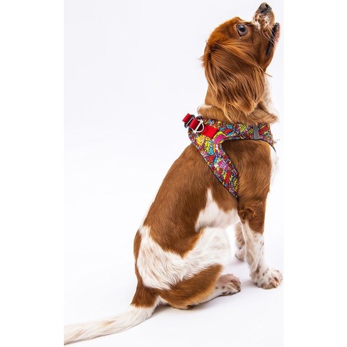 Pawstar Air-Mesh Wow Köpek Göğüs Tasması Medium
