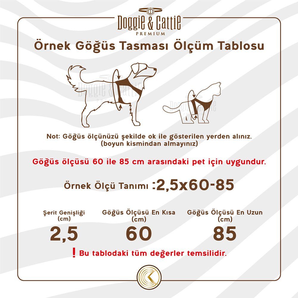 gogus-tamasi-kedi-kopek-6.jpg