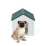 zampa-plastik-pet-kulube-dis-mekan-suy-23-3c7.jpg