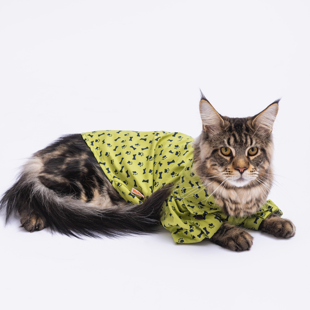 PAW STAR GREEN OSSA SHIRT