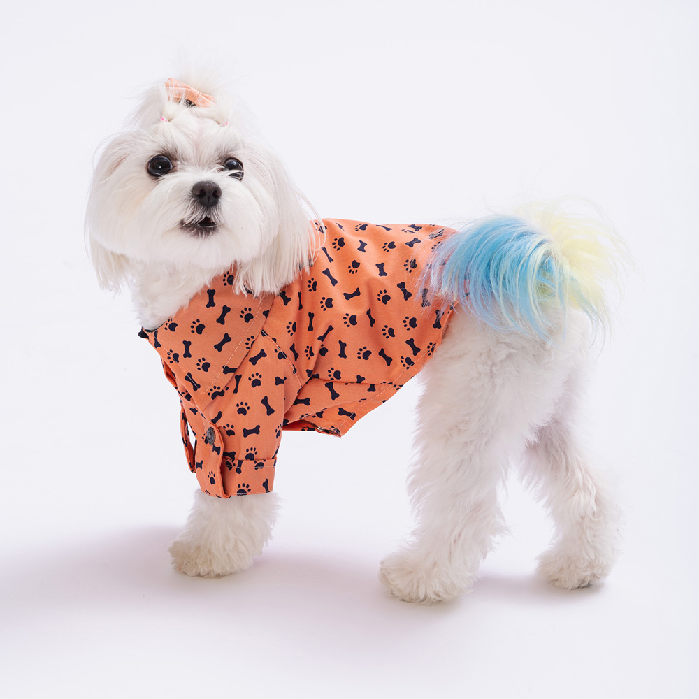 PAW STAR SOMON OSSA GÖMLEK