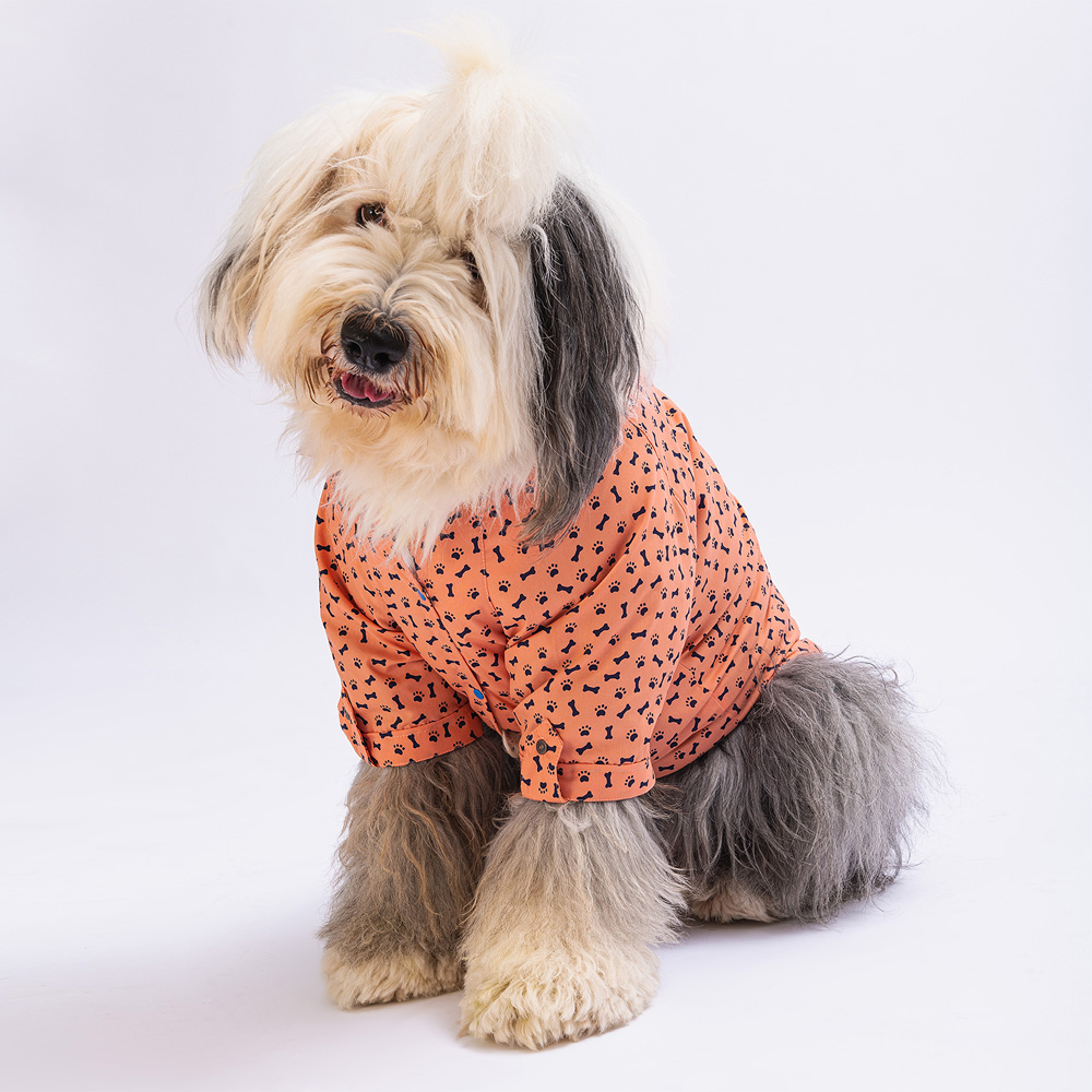 PAW STAR SOMON OSSA BÜYÜK GÖMLEK