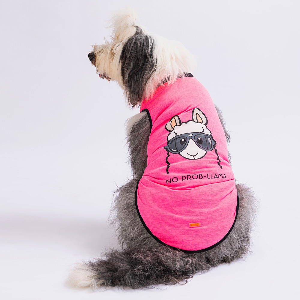 PAW STAR PİNK NO PROB-LAMA BİG T-SHİRT