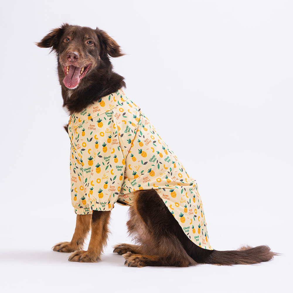 PAW STAR PİNEAPPLE BİG SHİRT