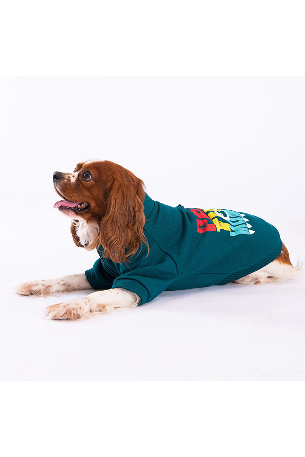 PAWSTAR YEŞİL MONSTER CEKET