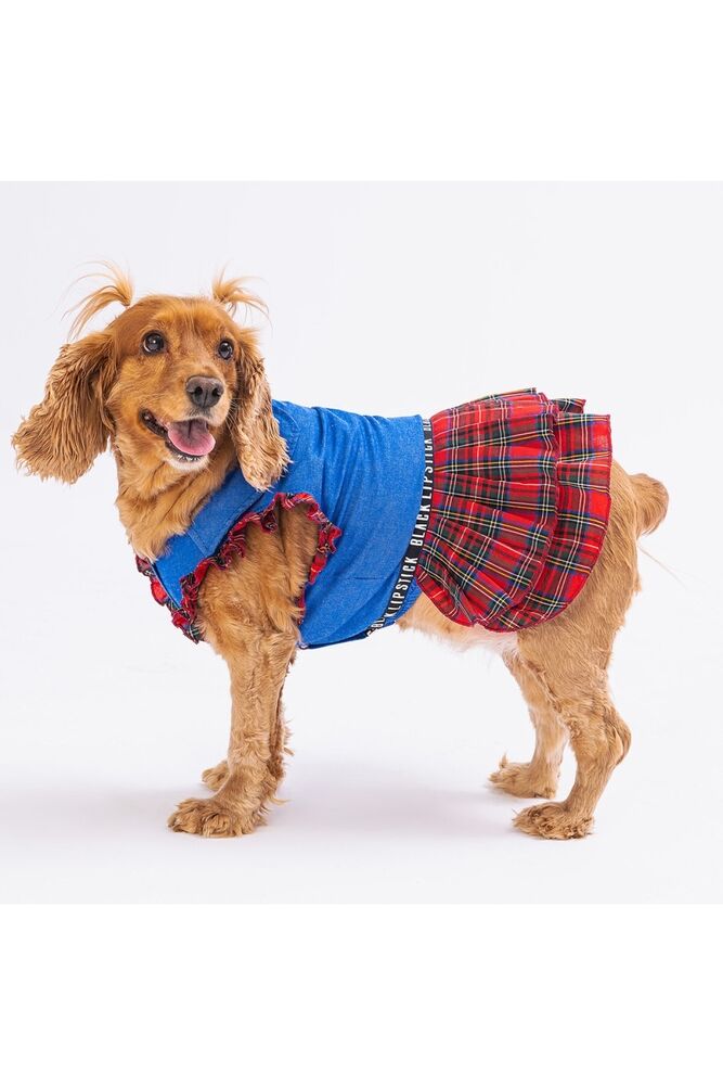 PAWSTAR DENİM PLAİD DRESS